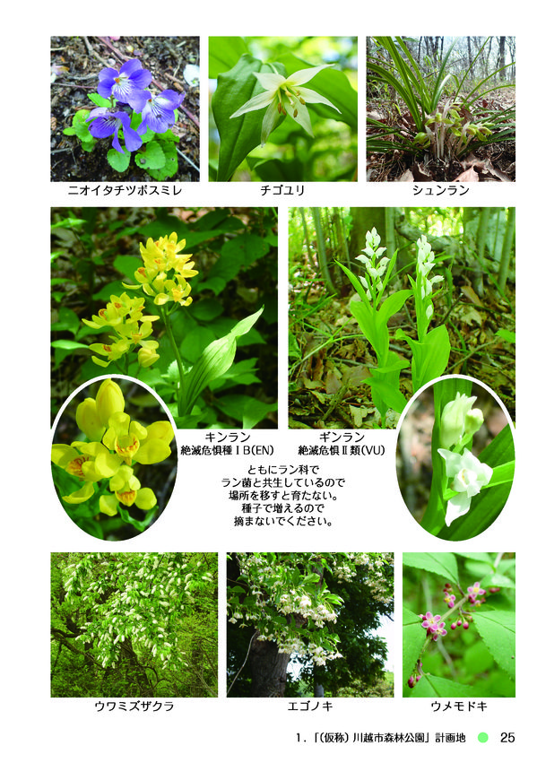 kawagoe_nature_book-025.jpg