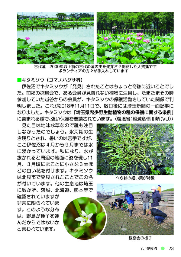 kawagoe_nature_book-073.jpg