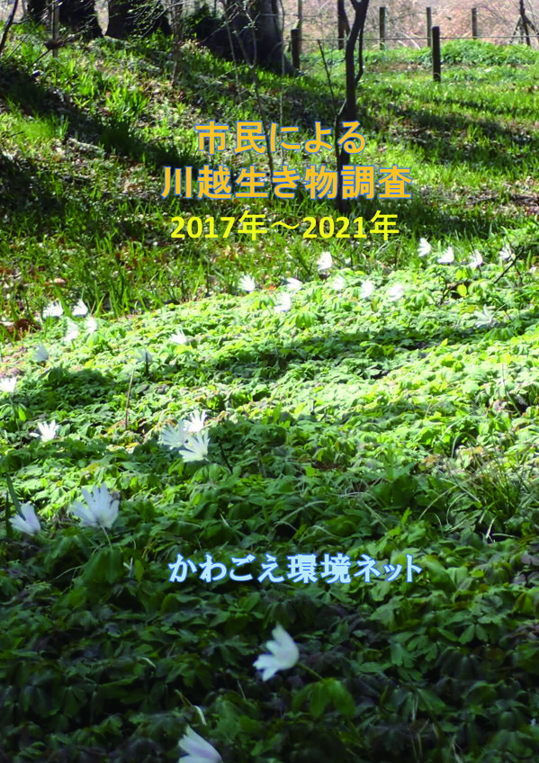 kkn_kawagoe-living_2022-2021_20220226.jpg